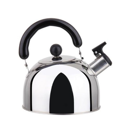 2405 - Stainless Steel Whistling Large Water