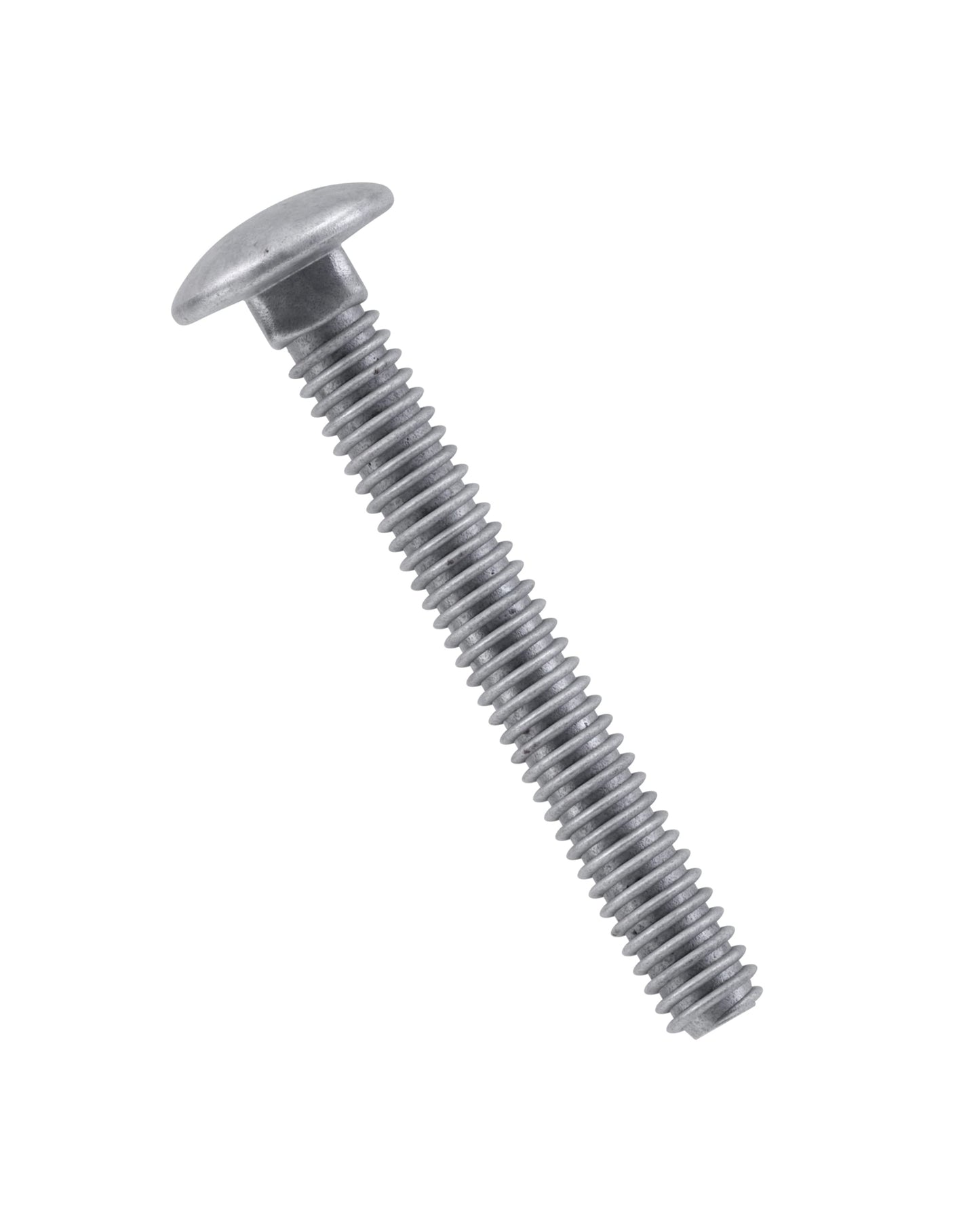 1\4 x 4 1\2 Carriage Bolts Everbilt