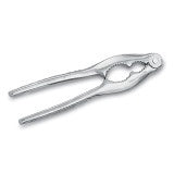 B-LOBS-7 - Nut Cracker, SS